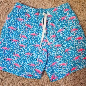 The Domingos Are For Flamingos 5.5" (Classic Swim Trunk) Mens XS
